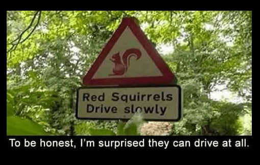 Screenshot 2018-02-23 at 1.35.06 PM