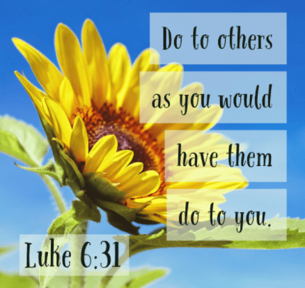 Screenshot 2018-03-11 at 8.49.34 PM