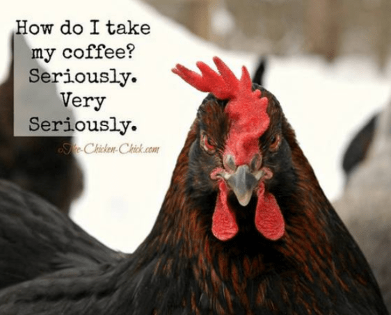 Screenshot 2018-04-14 at 10.24.13 AM