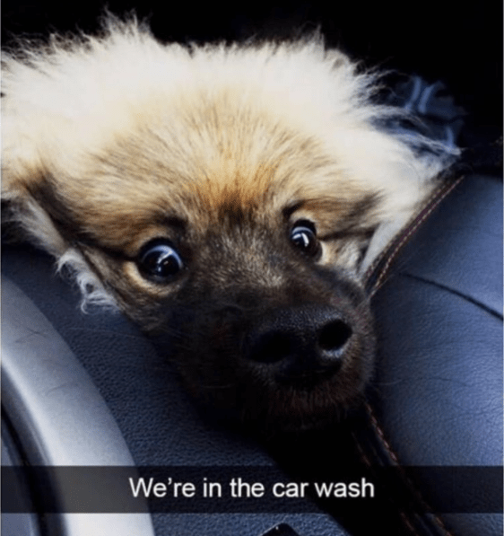 Screenshot 2018-04-15 at 6.53.22 AM