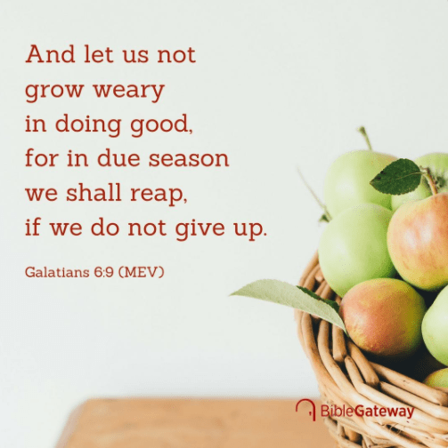 Screenshot 2018-04-15 at 8.47.51 PM