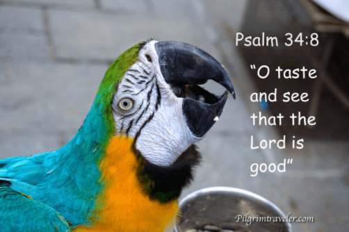 Screenshot 2018-04-15 at 8.48.54 PM