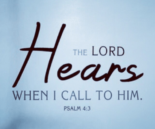 Screenshot 2018-04-15 at 8.53.47 PM