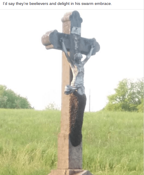 Screenshot 2018-05-23 at 6.48.19 AM