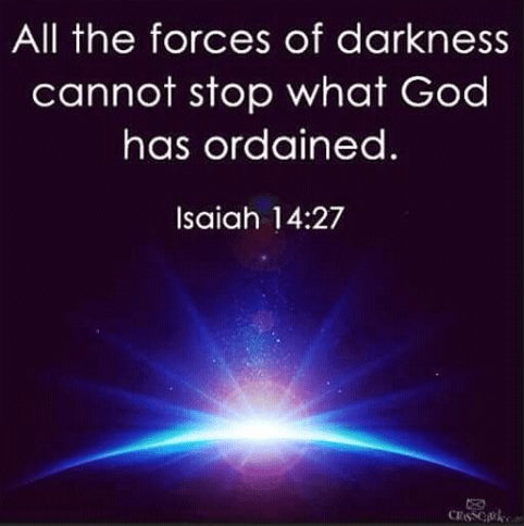 Screenshot 2018-06-11 at 5.41.36 AM