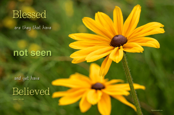 Screenshot 2018-06-13 at 7.34.29 PM