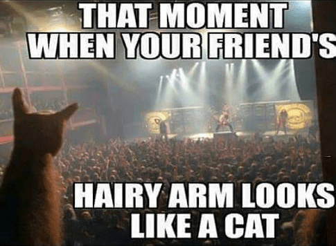 Screenshot 2018-07-06 at 8.51.12 AM