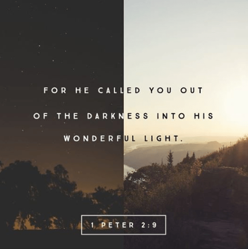 Screenshot 2018-07-08 at 6.06.21 AM