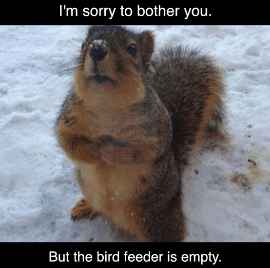 Screenshot 2018-07-14 at 11.17.49 AM