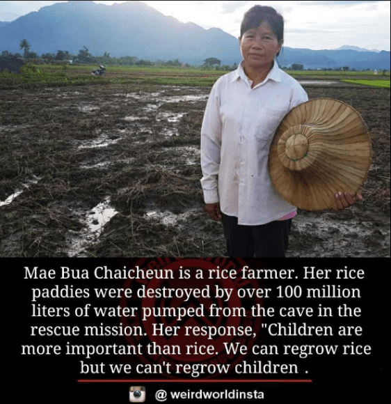 Screenshot 2018-07-14 at 11