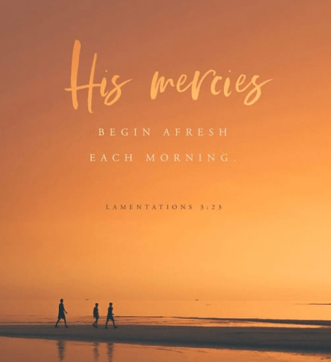 Screenshot 2018-07-14 at 12.23.53 PM