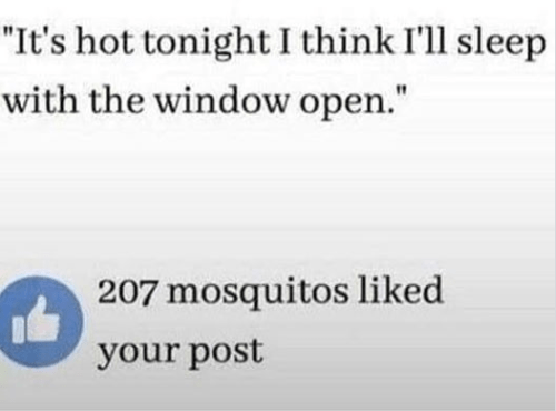 Screenshot 2018-07-06 at 1.33.01 PM