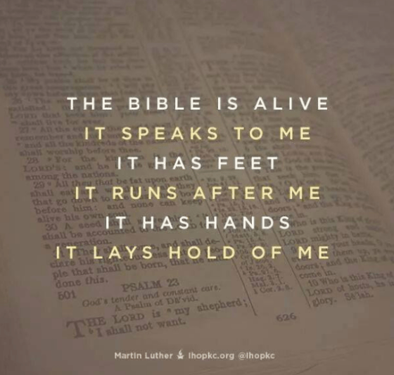 Screenshot 2018-08-27 at 5.43.07 AM