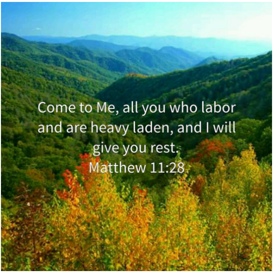 Screenshot 2018-09-03 at 9.23.27 AM