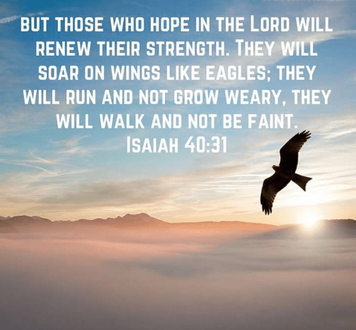 Screenshot 2018-09-14 at 8.58.08 AM