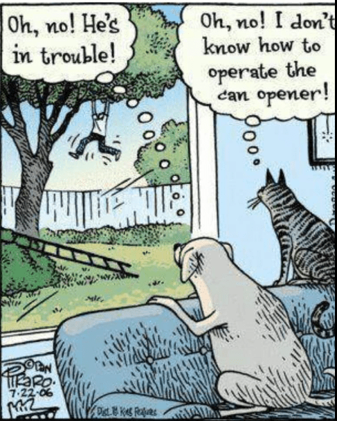 Screenshot 2018-10-02 at 6.46.20 AM