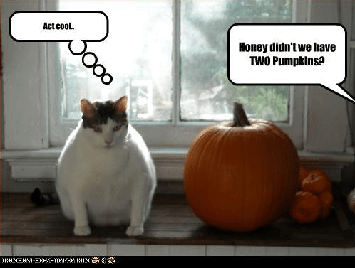 Screenshot 2018-10-25 at 9.44.33 AM