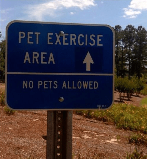 Screenshot 2018-10-23 at 8.44.29 AM