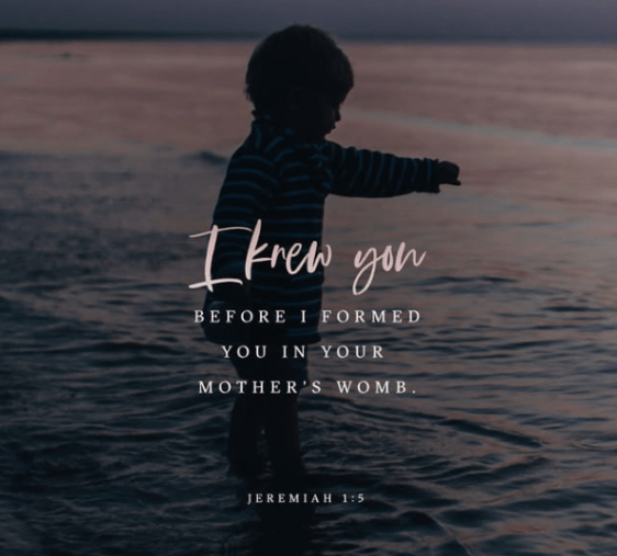 Screenshot 2018-10-23 at 8.53.36 AM