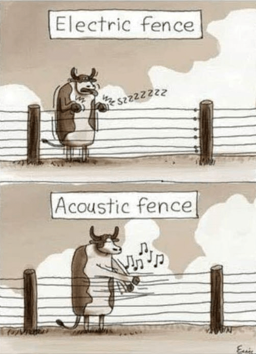 Screenshot 2018-11-20 at 6.52.03 AM