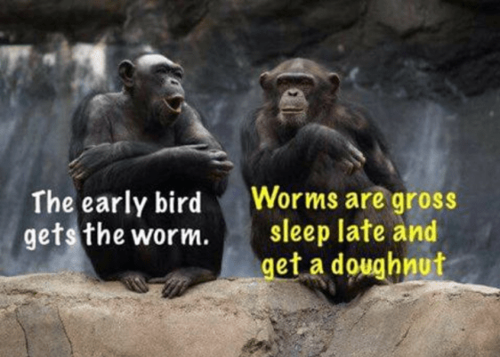 Screenshot 2018-11-24 at 5.18.20 PM