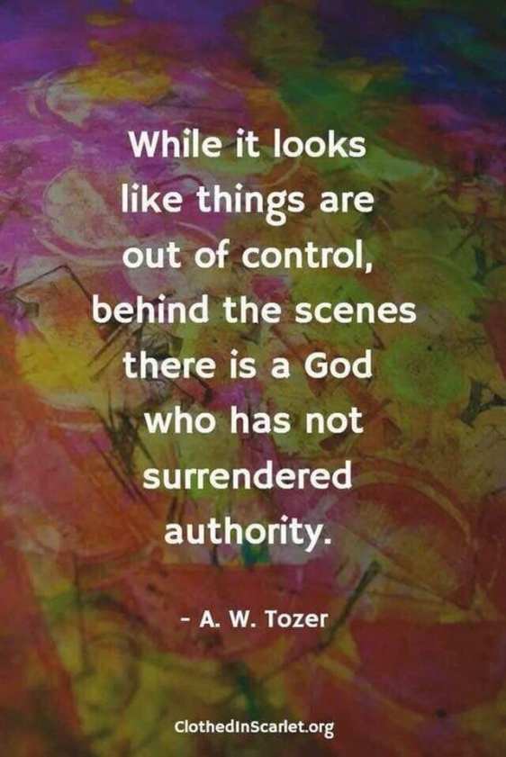 49206306_10215349606526525_6785192748719800320_n