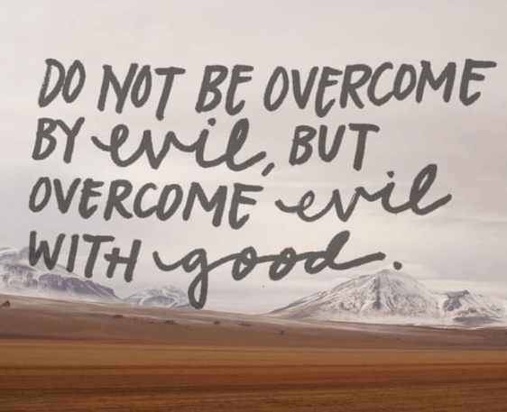 Screenshot 2018-12-12 at 8.43.44 PM