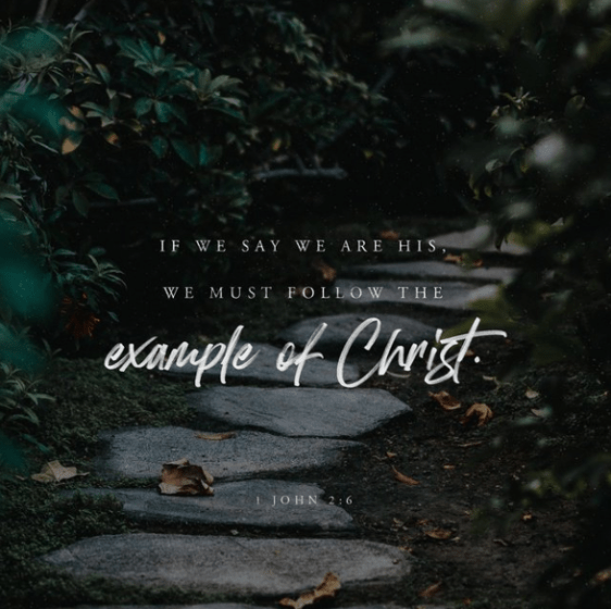 Screenshot 2018-12-28 at 8.43.26 PM