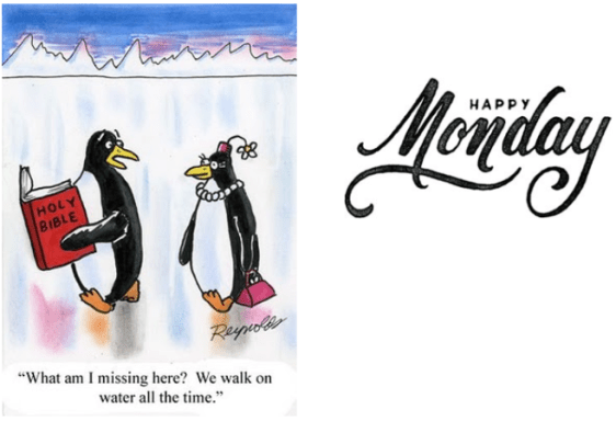 screenshot 2019-01-07 at 5.38.18 am