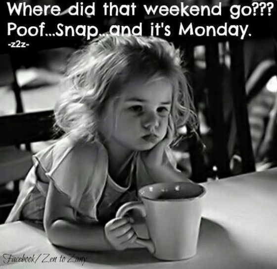 screenshot 2019-01-14 at 6.00.54 pm