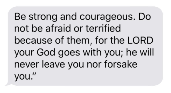 screenshot 2019-01-14 at 8.58.16 am