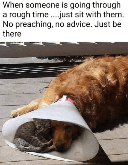 screenshot 2019-01-17 at 11.17.37 pm