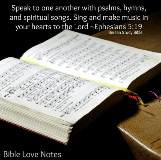 screenshot 2019-01-21 at 5.44.09 am