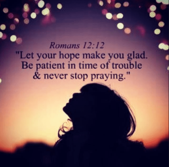 screenshot 2019-01-21 at 5.48.08 am