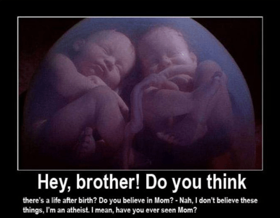 Screenshot 2019-01-22 at 3.39.24 PM