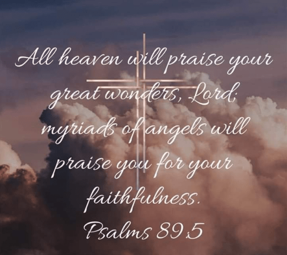 Screenshot 2019-02-07 at 10.33.28 AM