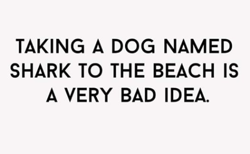 Screenshot 2019-02-18 at 4.14.18 PM