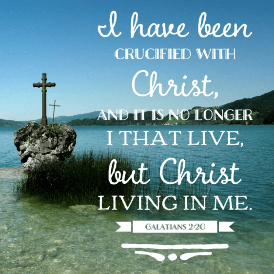 Screenshot 2019-02-18 at 5.38.18 AM