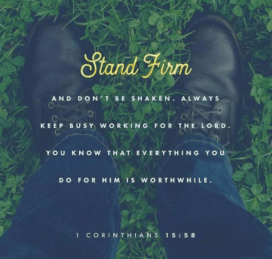 Screenshot 2019-02-18 at 12.12.52 PM