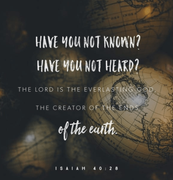 Screenshot 2019-02-21 at 11.25.33 AM