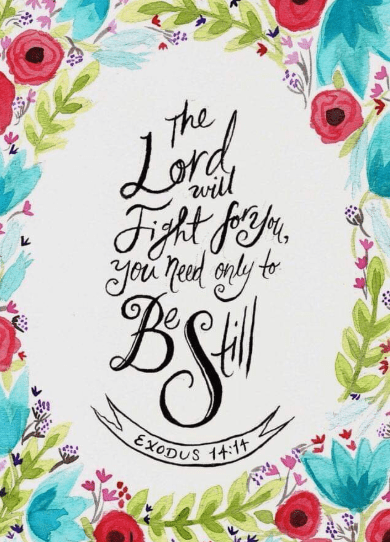 Screenshot 2019-04-03 at 8.27.11 PM