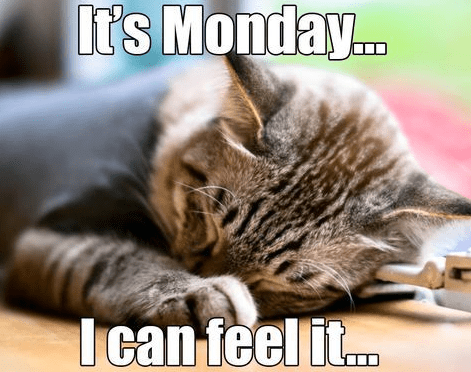 Screenshot 2019-04-08 at 7.29.21 PM