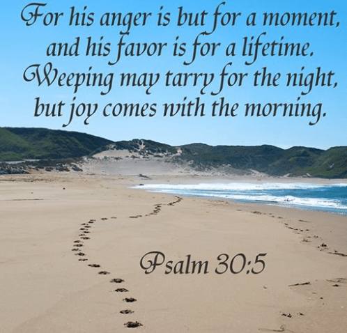 Screenshot 2019-04-17 at 8.34.47 PM