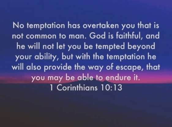 Screenshot 2019-03-11 at 4.50.10 PM