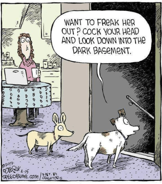 Screenshot 2019-04-28 at 9.42.12 PM