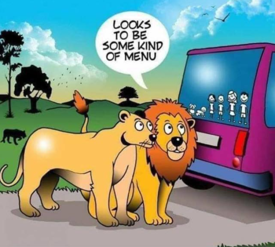 Screenshot 2019-05-18 at 4.52.11 PM