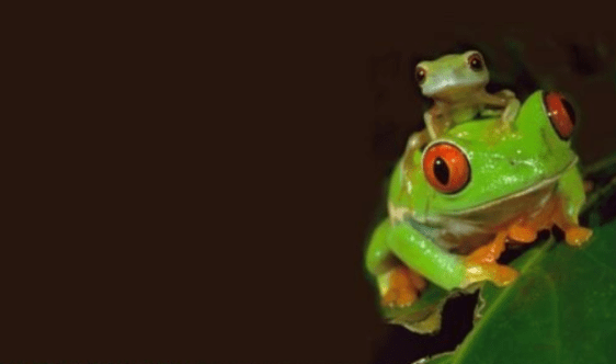 Screenshot 2019-05-29 at 11.02.40 AM