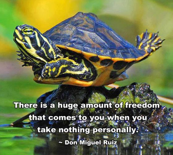 Screenshot 2019-06-07 at 9.48.37 AM