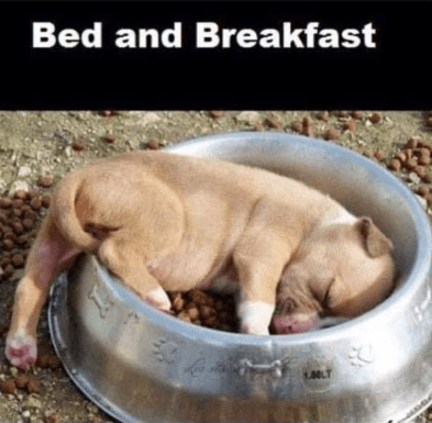 Screenshot 2019-07-14 at 3.51.25 PM