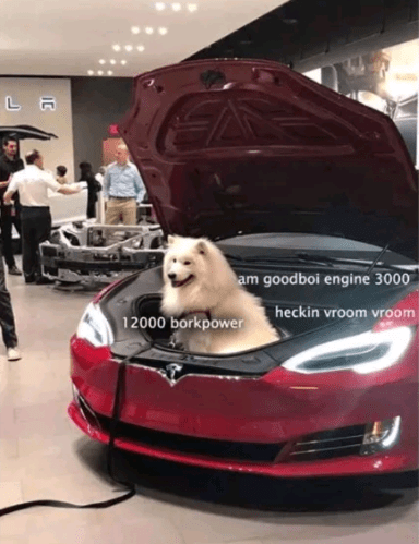 Screenshot 2019-07-14 at 3.52.16 PM